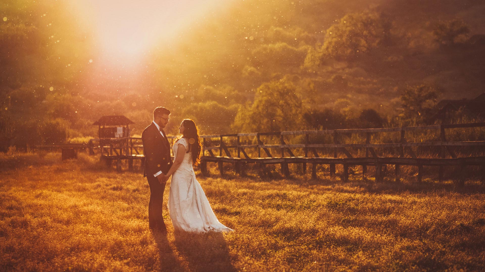 contre jour wedding photo